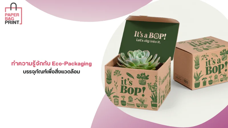 กล่องบรรจุภัณฑ์รักษ์โลก Eco-Packaging ดีไซน์สวยงาม เป็นมิตรกับสิ่งแวดล้อม ผลิตจากวัสดุรีไซเคิล เหมาะสำหรับธุรกิจที่ต้องการลดขยะพลาสติก